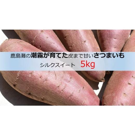 ふるさと納税 茨城県 鉾田市 皮まで甘いさつまいも　シルクスイート　5kg