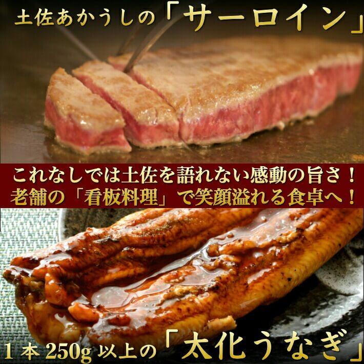 国産 特大うなぎ 土佐あかうし (サーロインステーキ)のセット 選べる鰻 ギフト