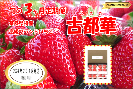 数量限定いちご 先行予約いちご 定期便いちご 2・3・4月発送 奈良県特産 高級ブランドいちご「古都華」旬の３ヶ月定期便    いちご イチゴ 古都華 フルーツ 果物 旬 限定 ブランド 定期便