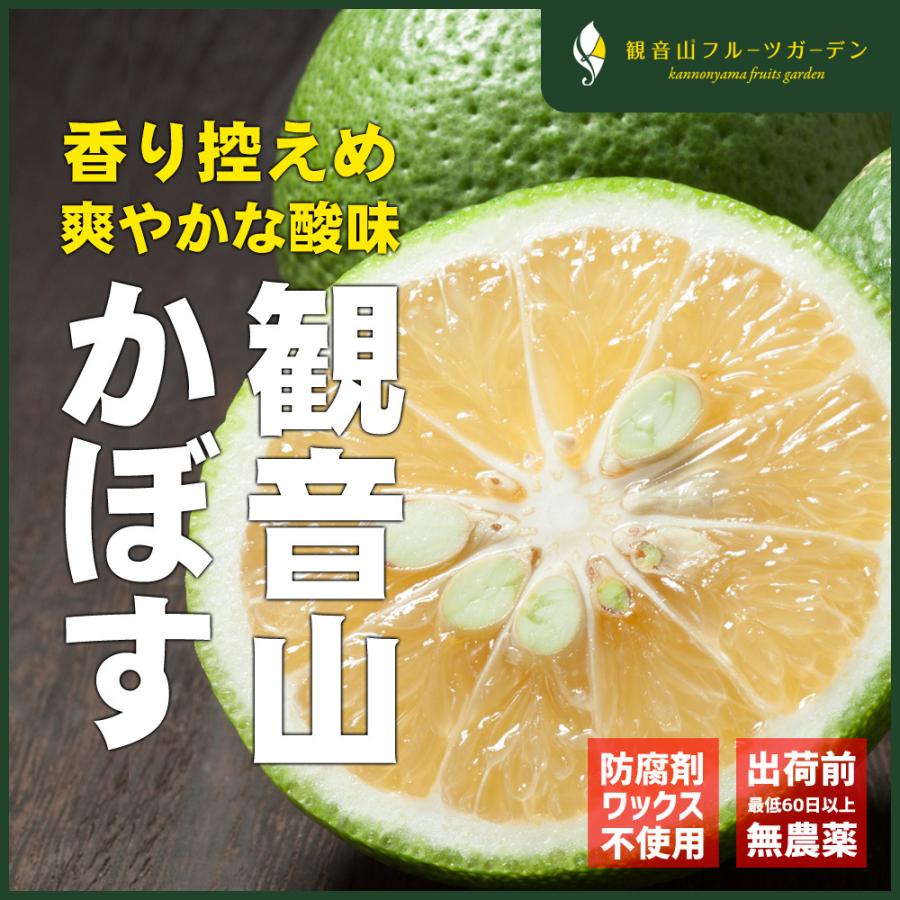 かぼす 観音山和果ボス AB混合 4kg 和歌山 観音山フルーツガーデン 送料無料