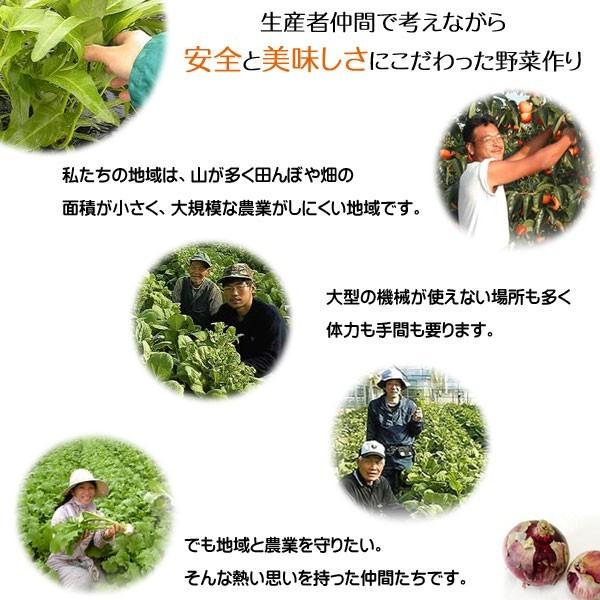 産地直送 旬の野菜セット(8〜10品目)有機質肥料 野菜 詰め合わせ 奈良 和歌山 三重 送料無料