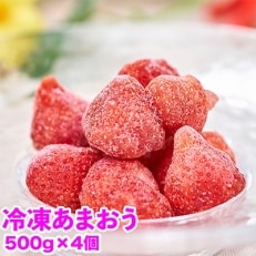 苺の王様!「冷凍あまおう苺」2kg(約500g×4袋)