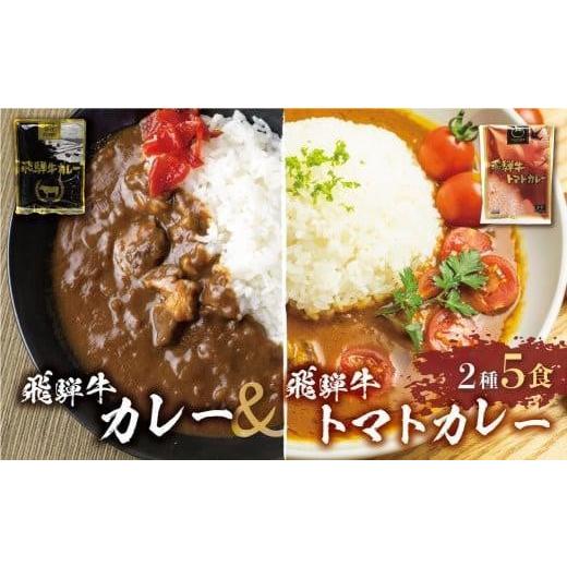 ふるさと納税 岐阜県 高山市 飛騨牛カレー (3袋) 飛騨牛トマトカレー (2袋)  計5食   簡易包装 ビーフカレー 飛騨牛 トマト カレー レトルトカレー…