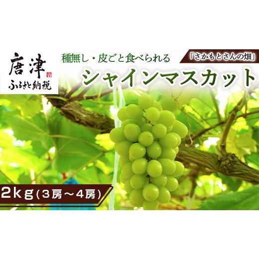 ふるさと納税 佐賀県 唐津市 『予約受付』シャインマスカット2kg 3房〜4房 葡萄 ぶどう 果物 フルーツ スイーツ