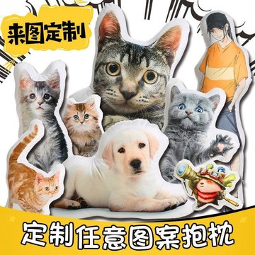 台灣出貨 客製化抱枕 寶寶抱枕 輪廓抱枕 立體抱枕 寵物貓咪狗玩偶禮物 毛絨抱枕 客製化畢業禮物 送男女友閨蜜 生日禮物