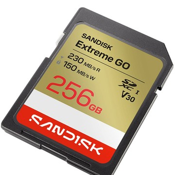 SanDisk 256GB 256G SDXC extreme Go 230MB/s 4K V30 SDSDXGN-256G 記憶卡