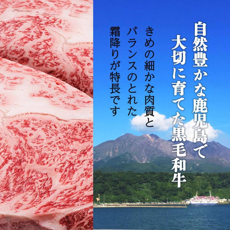 鹿児島県産 黒毛和牛 サーロインステーキ (A5ランク)200g×2枚  グルメ・スタジアム 黒毛和牛 A5 A5ランク お取り寄せ 限定 プレゼント