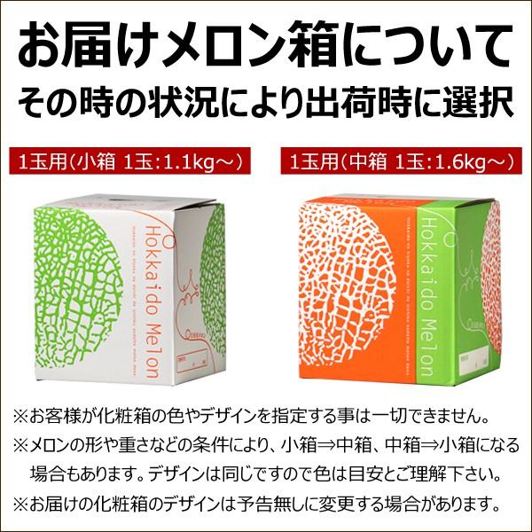 北海道 メロン 富良野メロン 1玉 (JAふらの共撰 秀品 1玉1.6kg) ギフト 贈り物 残暑見舞い ご家庭用 果物 フルーツ 北海道 送料無料 お取り寄せ