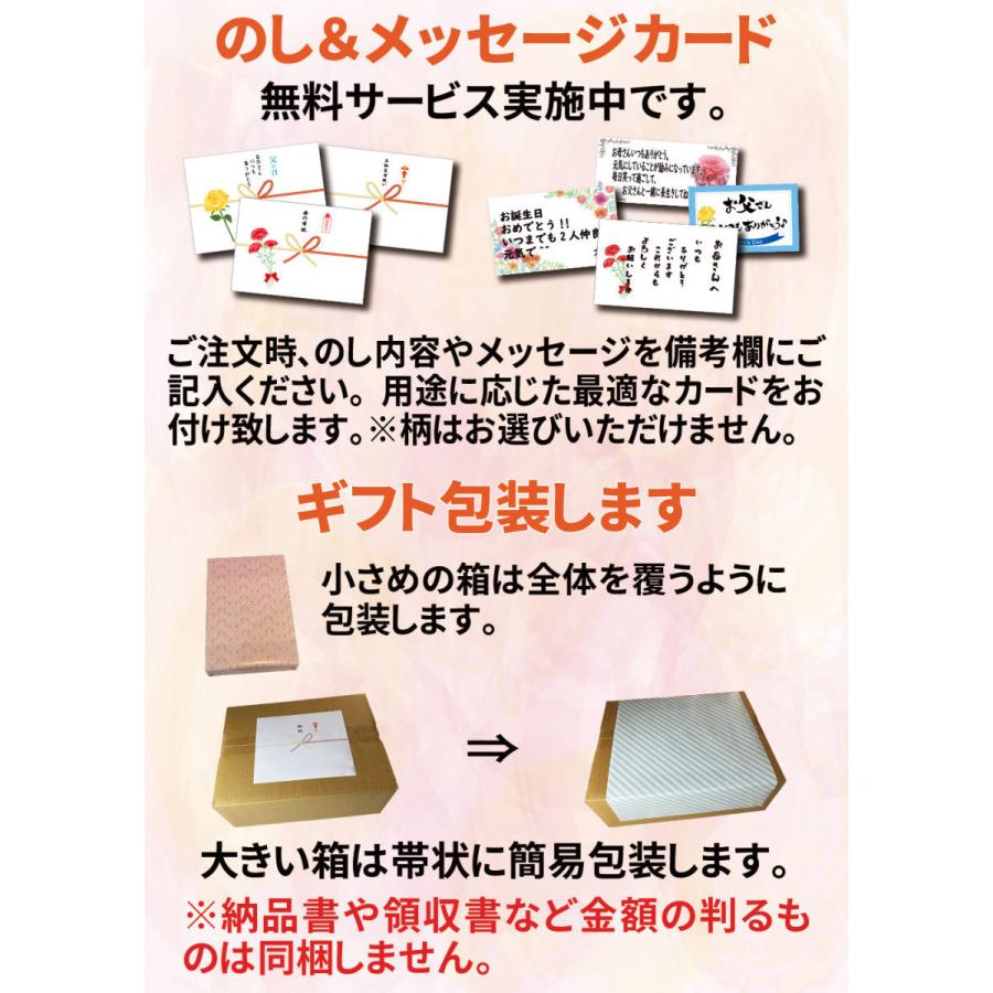 鹿児島黒豚 しゃぶしゃぶ 鍋セット 4人前 520g 豚肉 肩ロース 保存できる小分けパック4個 あごだしで食べる お取り寄せグルメ ギフト セット 六白豚 独楽