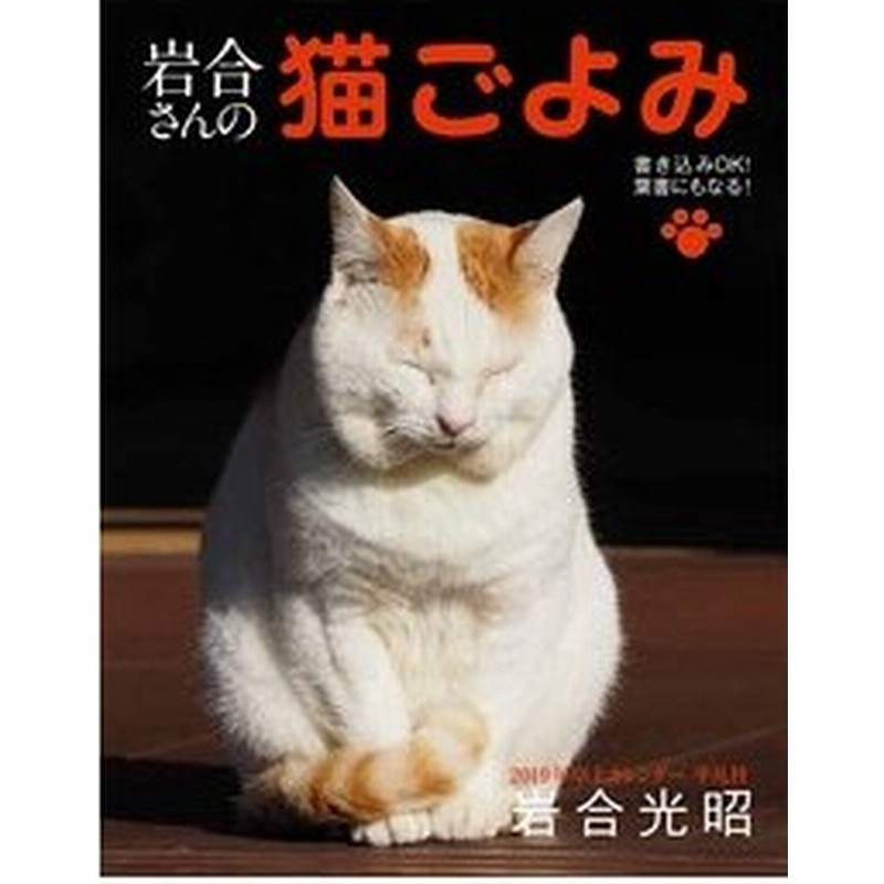 カレンダー １９ 岩合さんの猫ごよみ 岩合 光昭 写真 通販 Lineポイント最大0 5 Get Lineショッピング