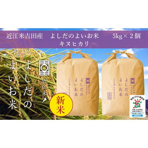 ふるさと納税 滋賀県 豊郷町 令和5年産新米　よしだのよいお米 近江米キヌヒカリ5kg×2