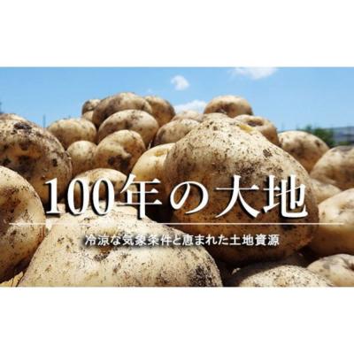 ふるさと納税 芽室町 北海道十勝芽室町 じゃがいも ゴロゴロ入った カレー 2種類×3パック me035-010c