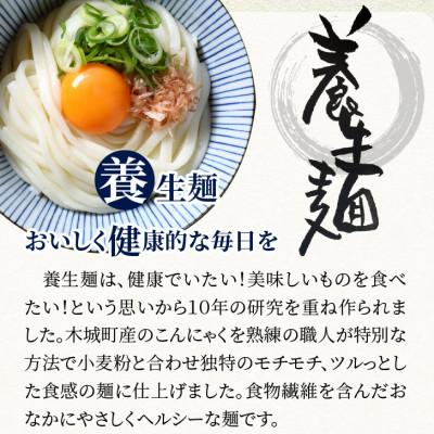 ふるさと納税 木城町 養生麺つけ麺セット　3食入り