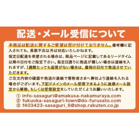 ふるさと納税 XZ001 手延べ麺で楽しむ かどやのごま油付とんこつラーメン 8食分 ギフト 福岡県篠栗町