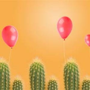 Project Management: Control using the Earned Value and Risk