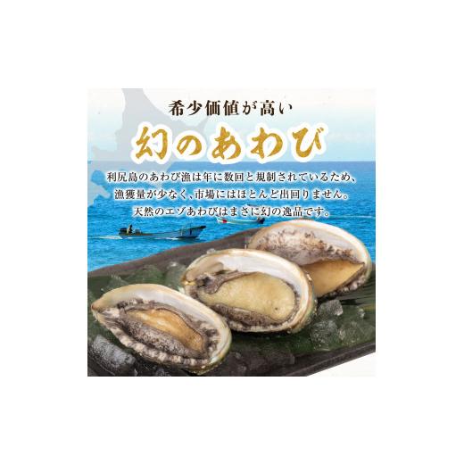 ふるさと納税 北海道 利尻町 利尻島産 天然蝦夷『活』アワビ500g※オンライン決済限定