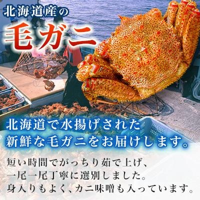 ふるさと納税 稚内市 ボイル毛ガニ1尾450g〜550g