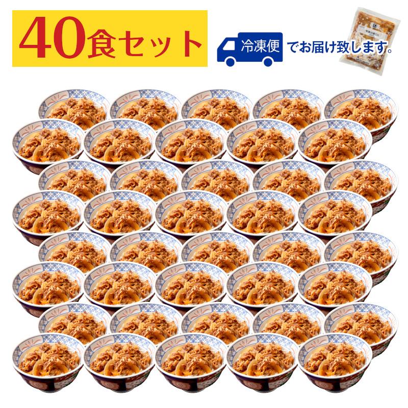 牛丼の素 DX 日東ベスト 185g 40食セット 冷凍 おかず 牛丼 冷凍食品 冷凍牛丼 業務用 牛丼の具 牛めしの具 牛めし 牛肉 肉 肉汁 大盛 特盛 つゆだく 送料無料