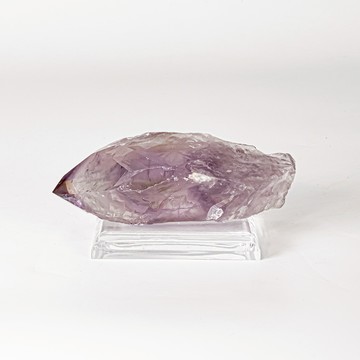 雅典娜紫骨幹 740366