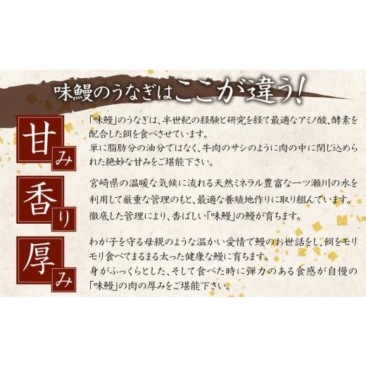 ふるさと納税 宮崎県 新富町 ［うなぎ特集掲載の品］新仔?味鰻の手焼備長炭蒲焼 2尾（無頭）化粧箱入 熨斗対応可