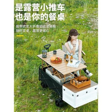 新款寬輪戶外露營地擺攤快遞小推野餐車便攜式可折疊家用溜娃釣魚