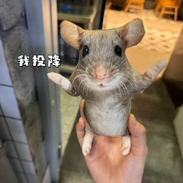 ✨動感 優選✨隔曰到貨 仿真老鼠幹掛件詼諧搞笑惡搞毛絨玩偶有骨架凹造型送朋友整蠱