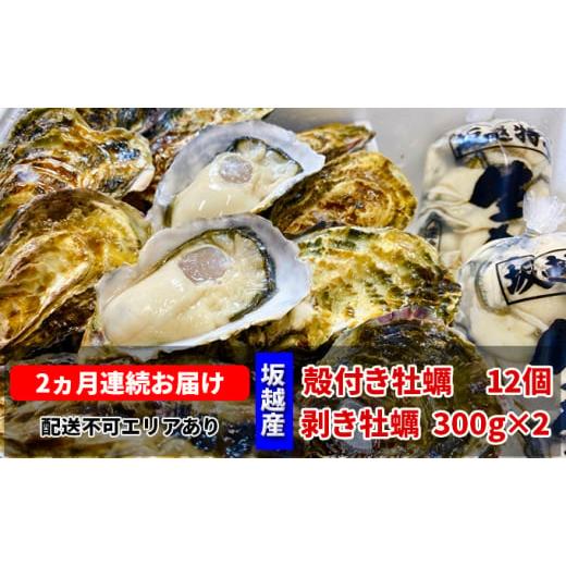 ふるさと納税 兵庫県 赤穂市 定期便 牡蠣 坂越かき 剥き牡蠣 300g×2、殻付き牡蠣 12個 オイスターナイフ付き[ 生牡蠣 かき カキ 生食