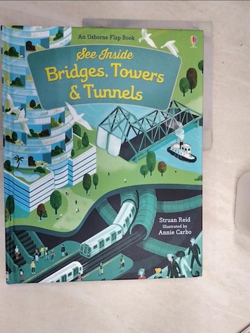 【書寶二手書T1／少年童書_SJL】See Inside Bridges, Towers and Tunnels_Struan Reid,Annie Carbo (ILT)