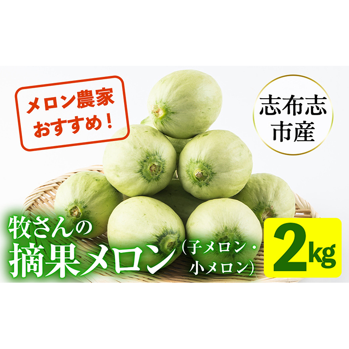 鹿児島県志布志産 摘果メロン(子メロン・小メロン) 2kg p8-115-02