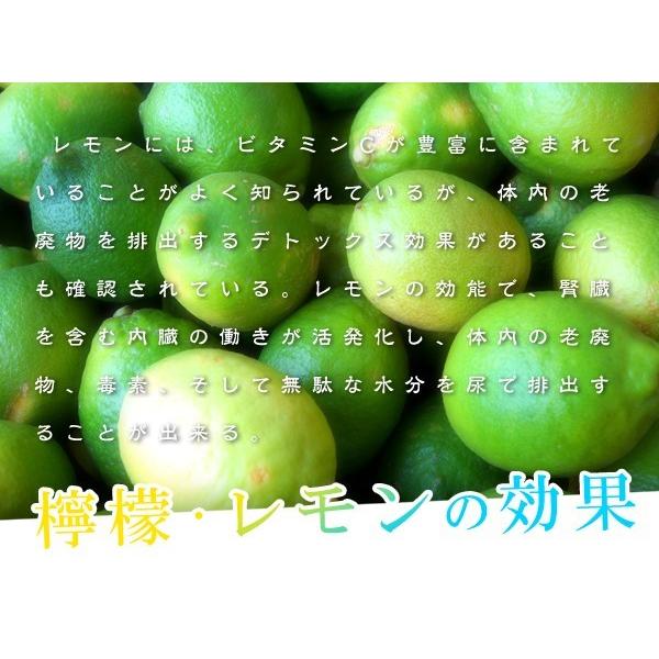 レモン 5kg（箱込約5kg） 国産 訳あり・ご家庭用 檸檬 送料無料（東北・北海道・沖縄県除く）