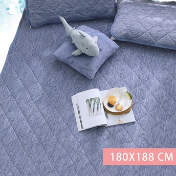 鴻宇 HongYew - SUPERCOOL接觸涼感/-5度C瞬涼可洗/抗菌保潔墊-雙人加大