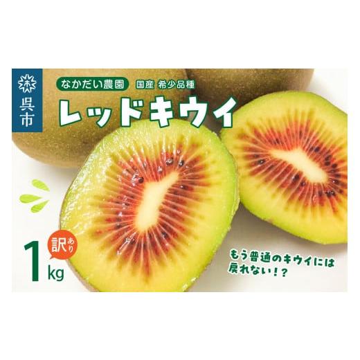 ふるさと納税 広島県 呉市 希少品種「 レッドキウイ 」国産 約1kg