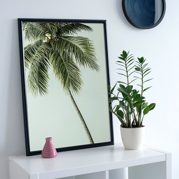 慵懶的棕櫚－畫/餐廳掛畫/棕櫚/Chill/北歐風/現代畫/複製畫