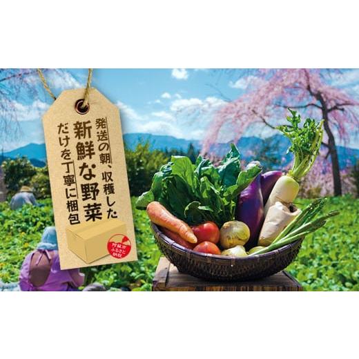 ふるさと納税 熊本県 阿蘇市 季節のお野菜セットとお米のセット