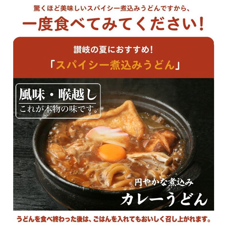 讃岐の製麺所が作る　レンジで簡単　辛すぎないスパイシーなカレーうどん4食　180g×4　うどん