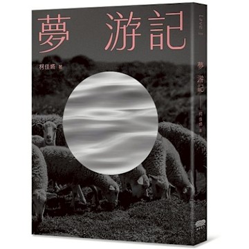 夢 游記【城邦讀書花園】