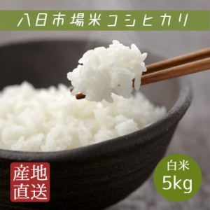 新米 米 お米 白米 5kg 八日市場米 コシヒカリ 令和5年産 本州四国 送料無料