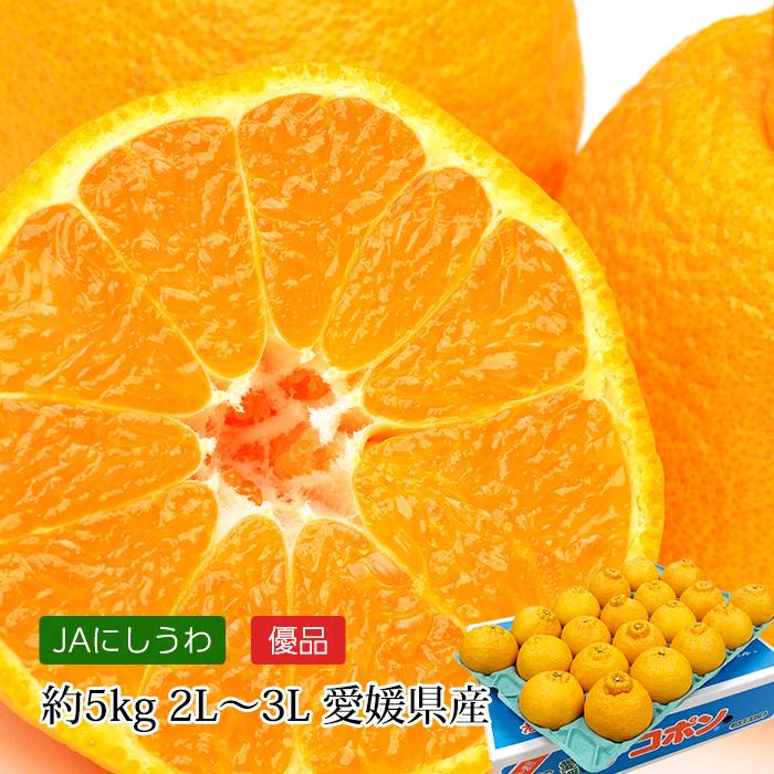 みかん 愛媛県産 デコポン 優品 約5kg 2L〜3Lサイズ 18〜20玉