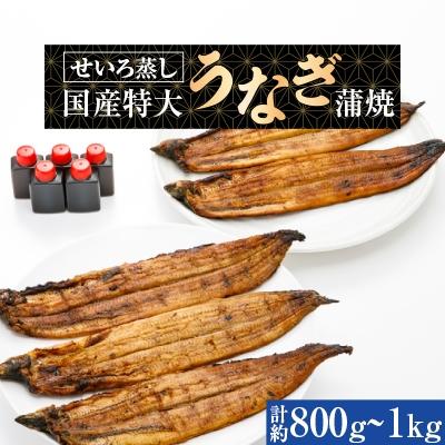 ふるさと納税 岸和田市 蒸篭(せいろ)蒸し　国産特大うなぎ蒲焼5尾　特製タレ5個