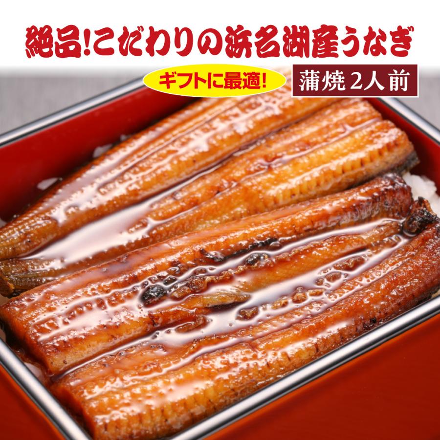 うなぎ 蒲焼 2人前 浜名湖産 土用の丑 夏バテ予防 スタミナ食品 ギフト お中元 おすすめ