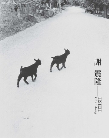 臺灣攝影家: 謝震隆[精裝][二手書_全新]