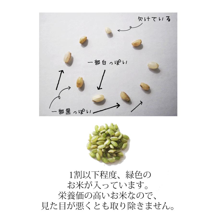 ●  米 玄米食 調整済 4年産 農家の食べているおいしい玄米10kg （5kg×2袋 小分け）オリジナル