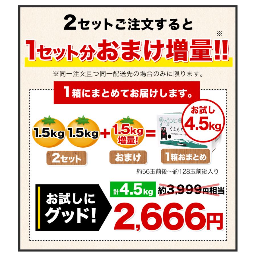 小玉 みかん 訳あり ご家庭用 送料無料 1.5kg 小粒 ミカン 柑橘 熊本 極早生 3s-sサイズ 家庭用 12月上旬〜12月下旬頃より発送予定