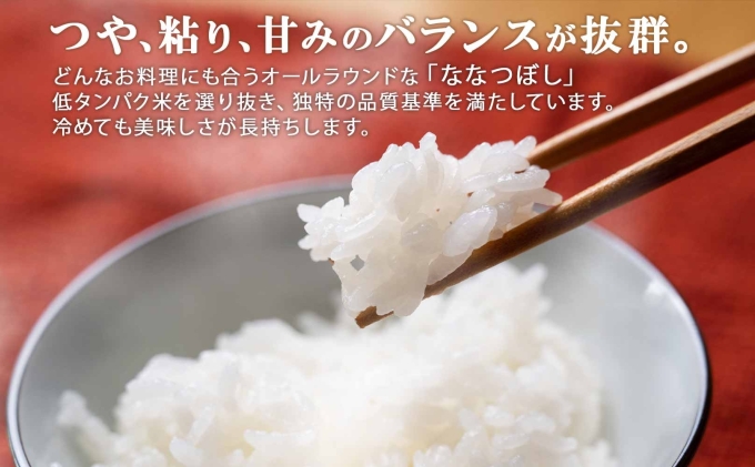 定期便 6ヵ月連続6回 北海道産 喜ななつぼし 無洗米 2kg×3袋 計6kg 米 特A 白米 小分け お取り寄せ ななつぼし ごはん ブランド米 備蓄 贈答用 ようてい農業協同組合 ホクレン 送料無料 北海道 倶知安町