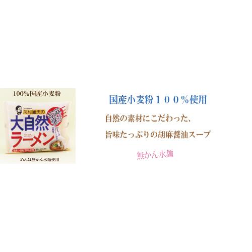 10個セット　健康フーズ　大自然ラーメン　胡麻醤油　１食×10　河村通夫の大自然ラーメン　大自然ラーメン　胡麻醤油