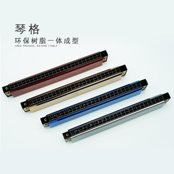 口琴24孔初學者高級兒童學生入門復音c調口琴嘉德瑞成人樂器