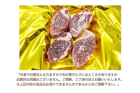 S10　松阪牛ヒレ焼肉用500g