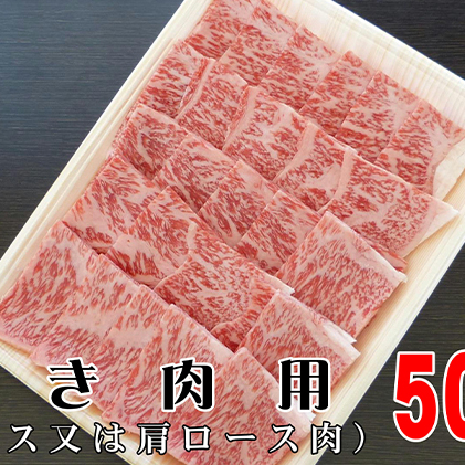 牛肉 飛騨牛 焼き肉 セット ロース 又は 肩ロース 500ｇ 黒毛和牛 Ａ5 美味しい お肉 牛 肉 和牛 焼肉 BBQ バーベキュー 