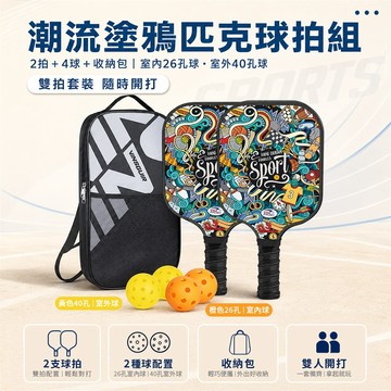VINSGUIR VG-01 匹克球拍組 塗鴉款 （2拍＋4球＋收納包）_廠商直送