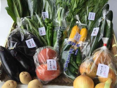 旬の京野菜 特選 毎月お届けスペシャルコース（全12回）＆『葉酸たまご』10個入り×1パック×3回分付き ※沖縄・離島・諸島へのお届け不可